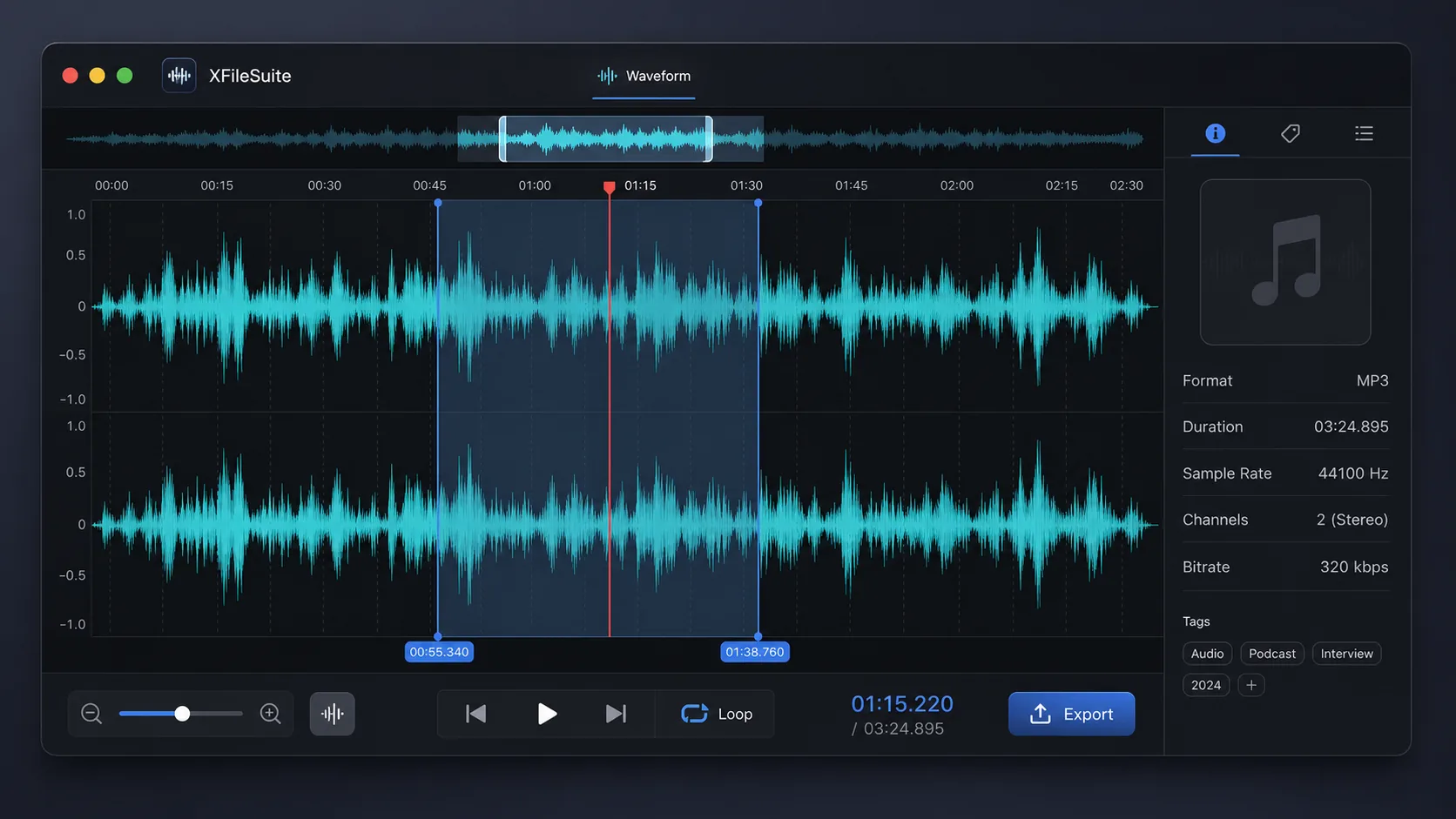 XFileSuite 重绘音频波形与元数据界面